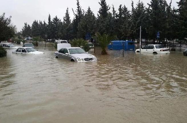 amman44444