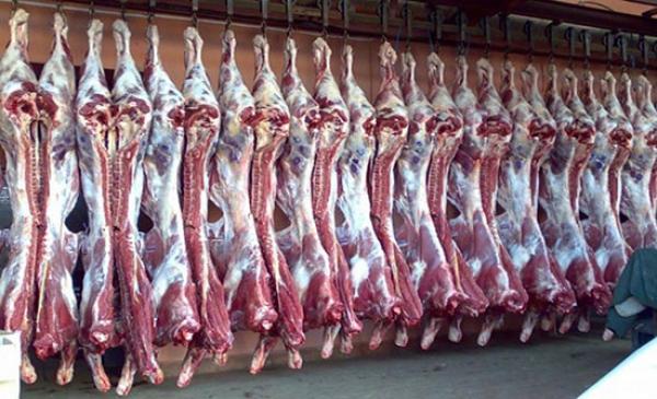 imageyyyyyyyyytt