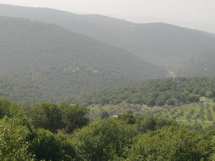 main image5ce94ae758787